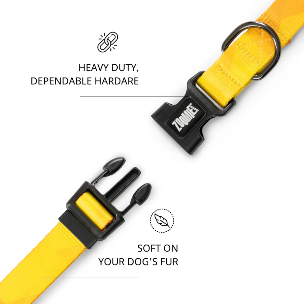 Zoomiez Solar Printed Collar for Dogs - Image 5