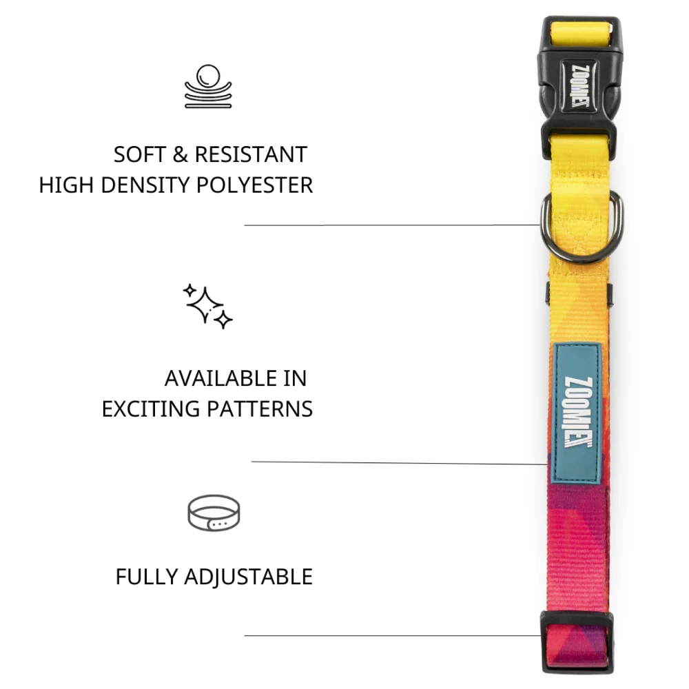 Zoomiez Solar Printed Collar for Dogs - Image 6