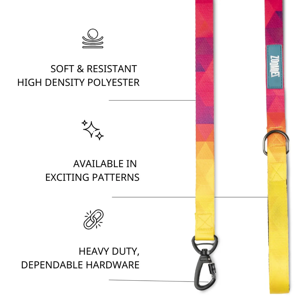 Zoomiez Solar Printed Leash for Dogs - Image 4