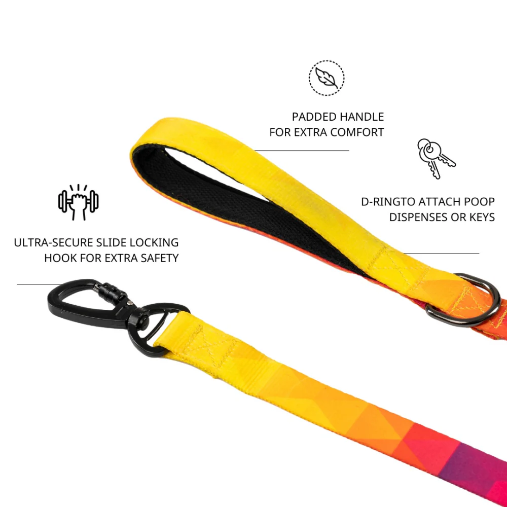 Zoomiez Solar Printed Leash for Dogs - Image 5