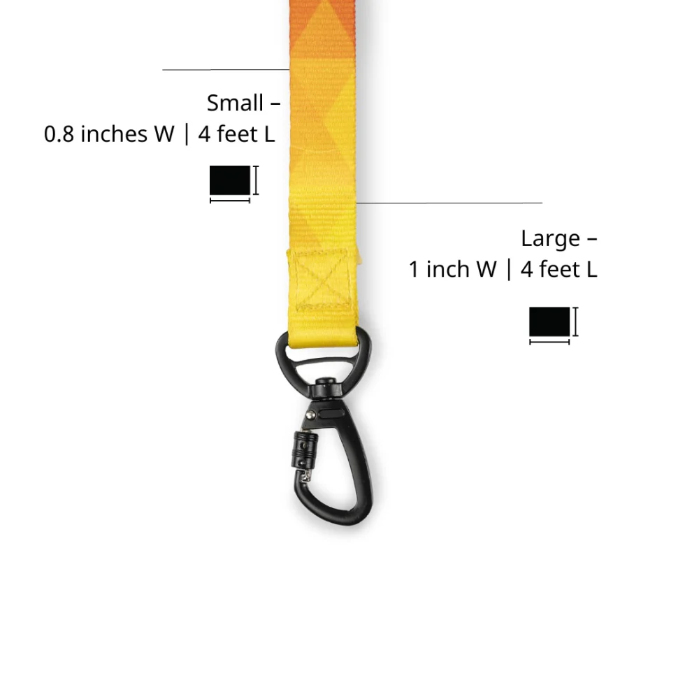 Zoomiez Solar Printed Leash for Dogs - Image 6