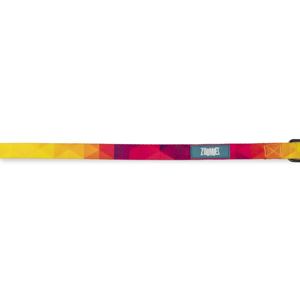 Zoomiez Solar Printed Leash for Dogs - Image 7