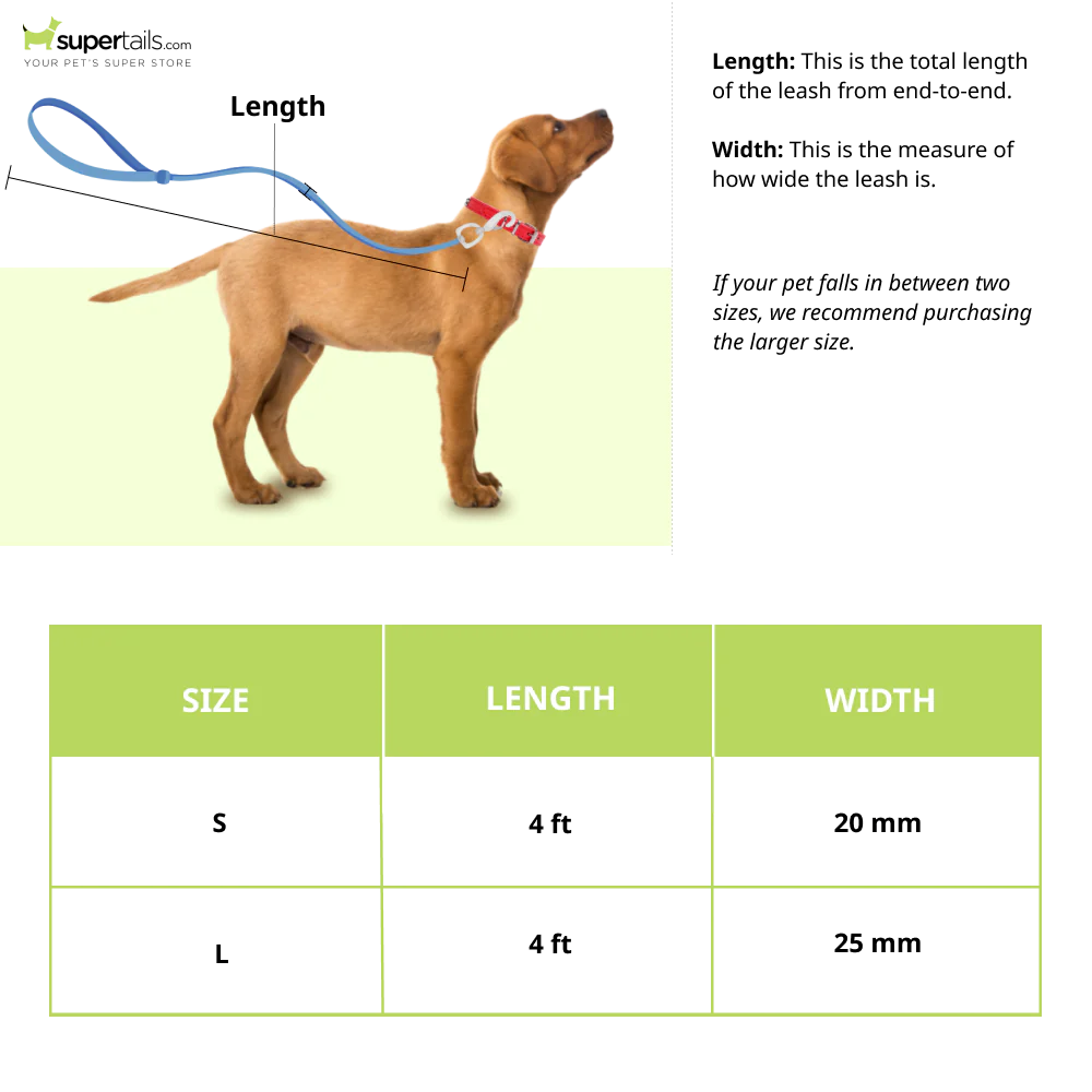 Zoomiez Swirl Printed Leash for Dogs - Image 2