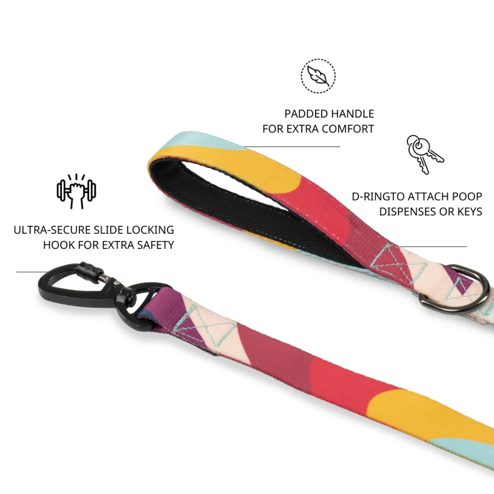 Zoomiez Swirl Printed Leash for Dogs - Image 3