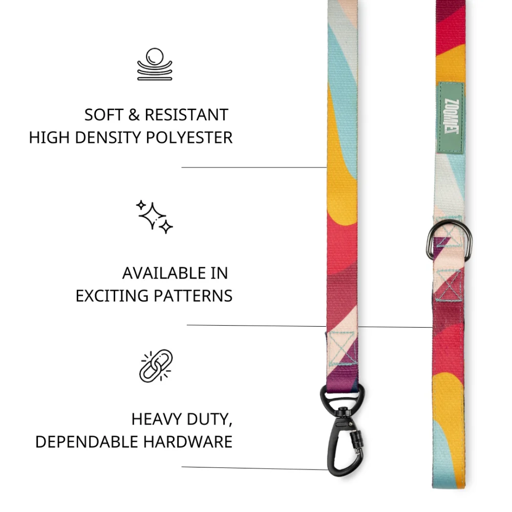 Zoomiez Swirl Printed Leash for Dogs - Image 4