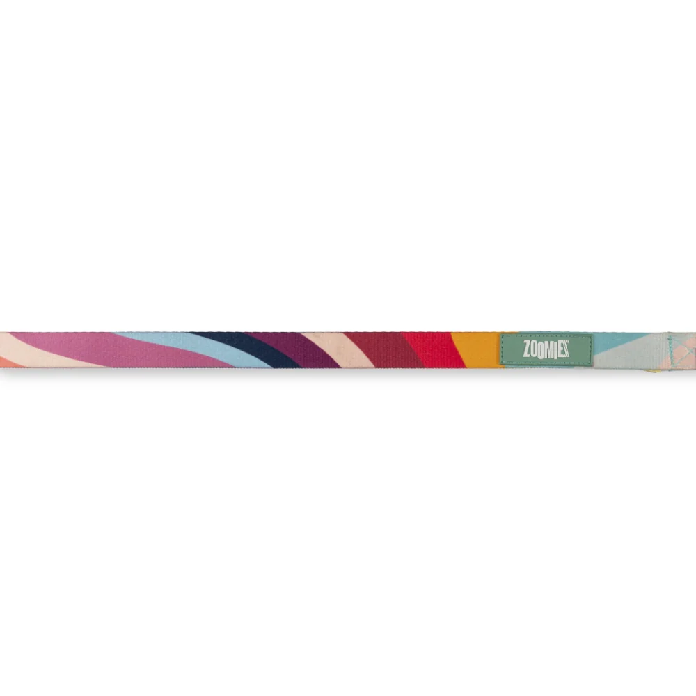 Zoomiez Swirl Printed Leash for Dogs - Image 5