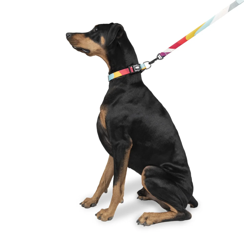 Zoomiez Swirl Printed Leash for Dogs - Image 7