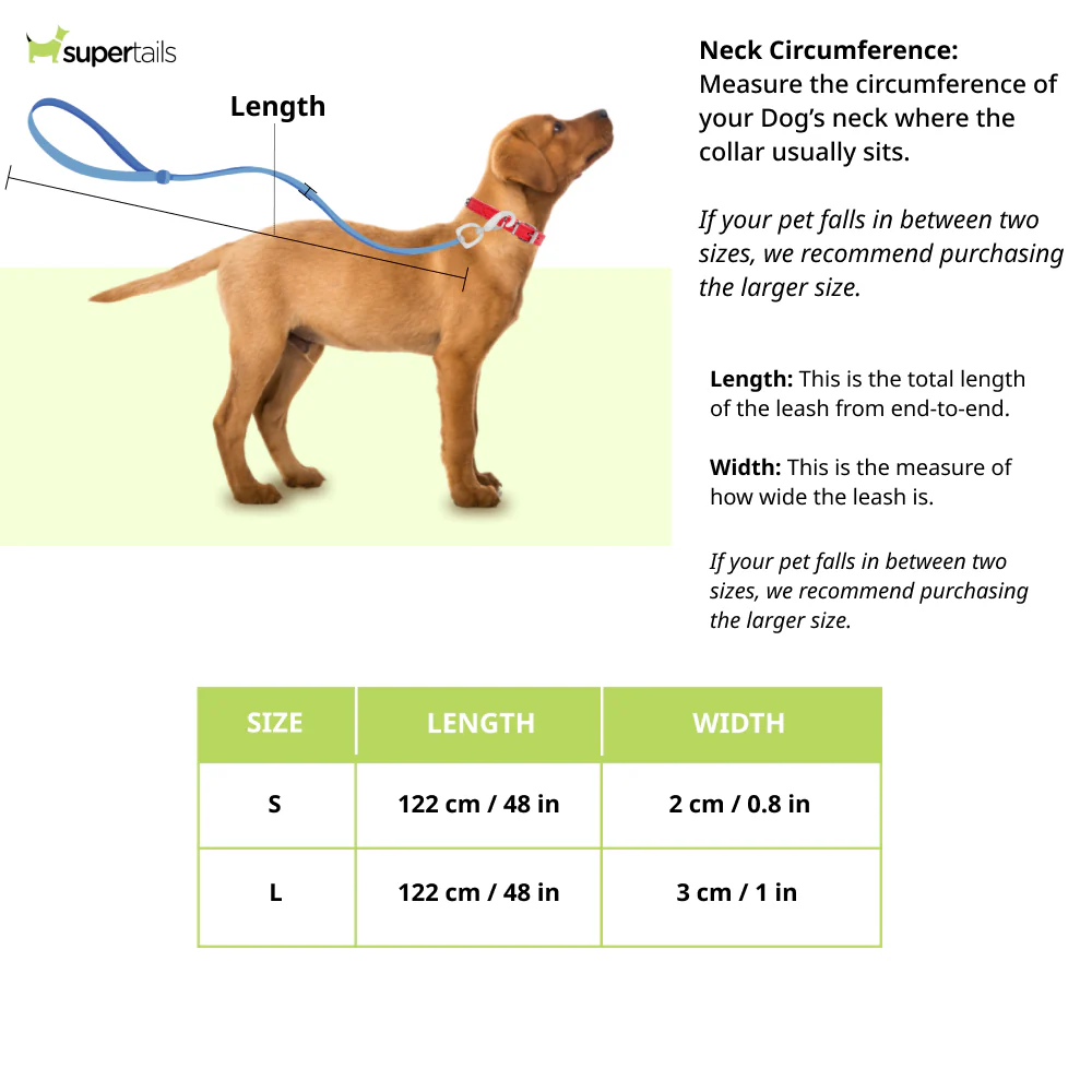 Zoomiez Fuse Printed Leash for Dogs - Image 2