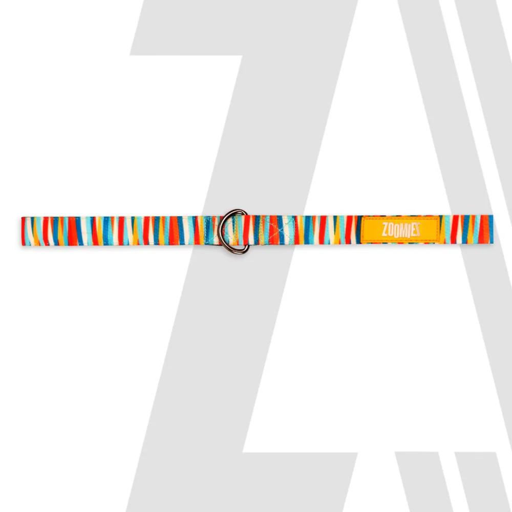 Zoomiez Tango Printed Leash for Dogs - Image 5