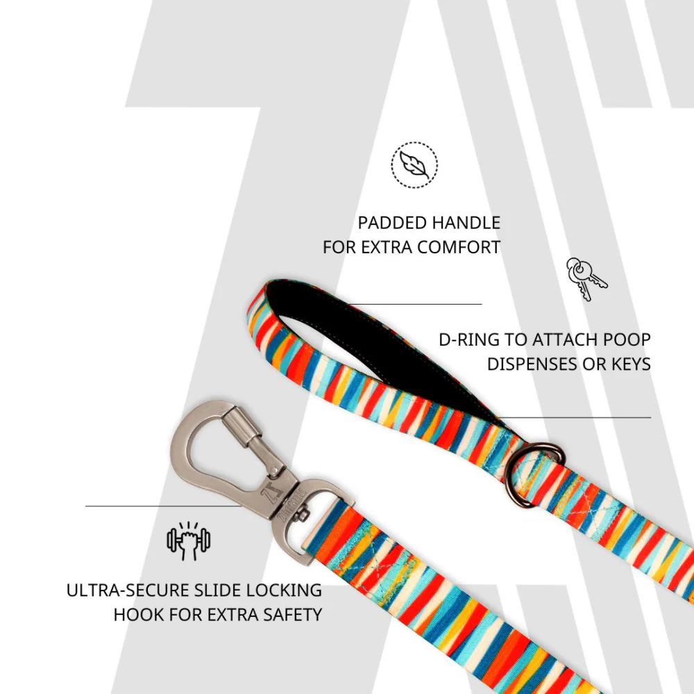 Zoomiez Tango Printed Leash for Dogs - Image 7