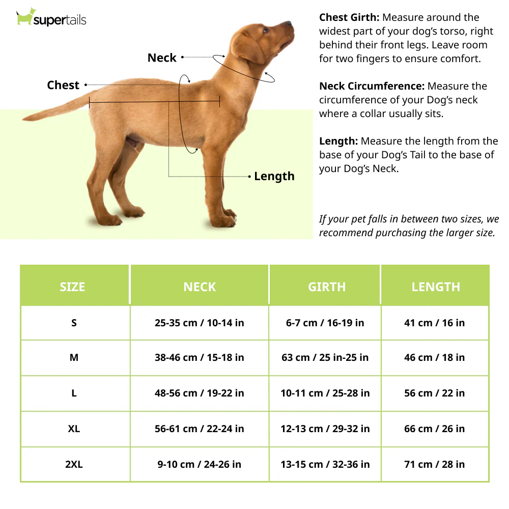 Zoomiez Ultimate Jacket With Built in Harness for Dogs (Black/Neon) - Image 2