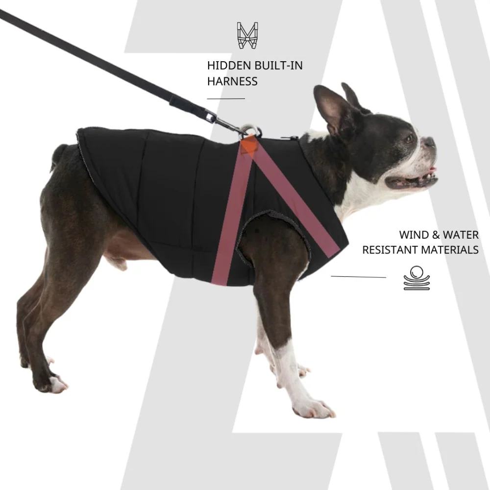 Zoomiez Ultimate Jacket With Built in Harness for Dogs (Black/Neon) - Image 5