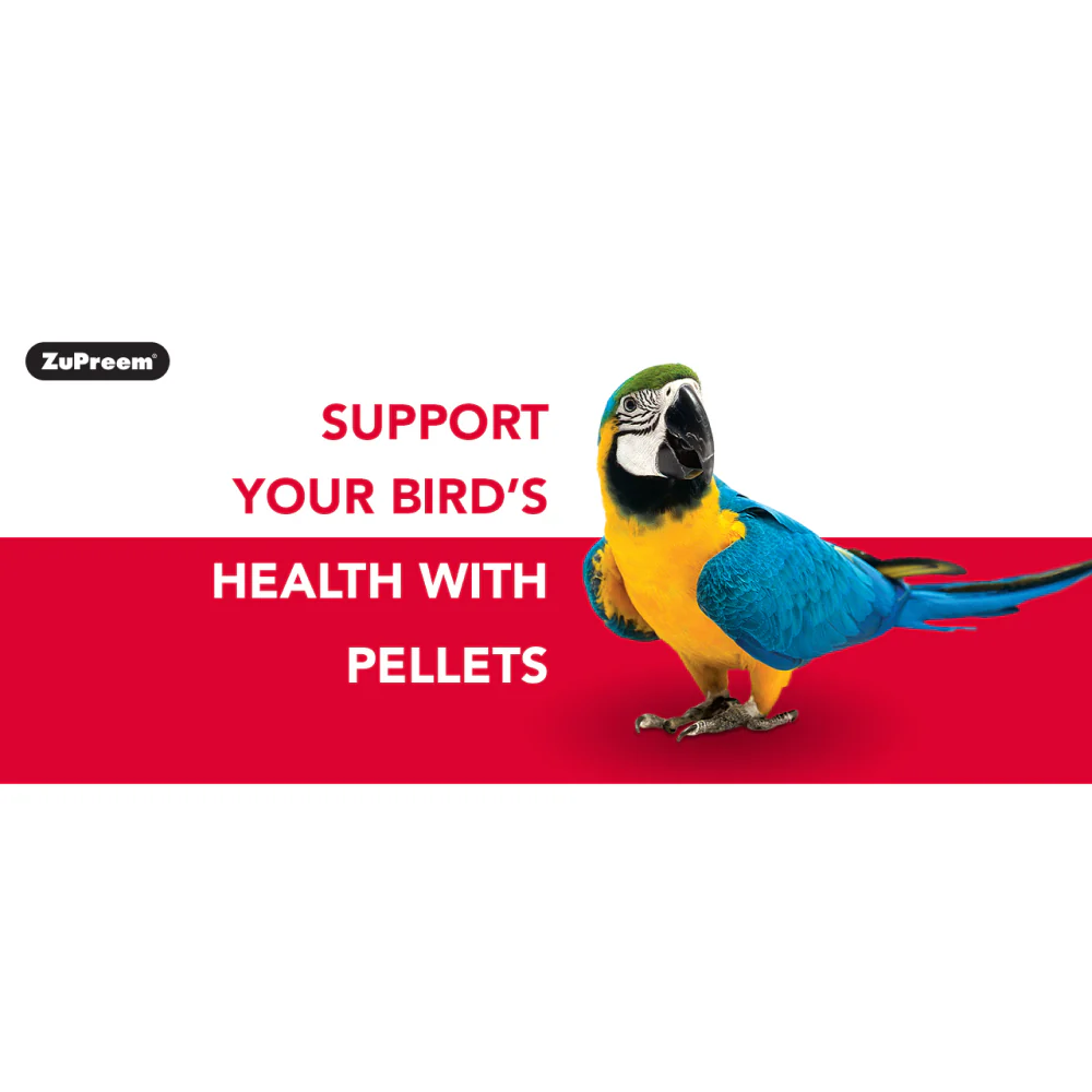 ZuPreem Fruit Blend Bird Food for Medium Birds - Image 2