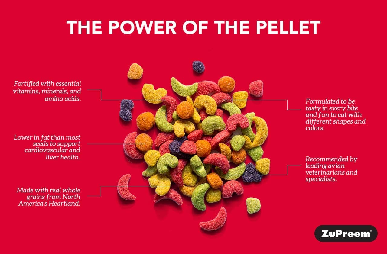 ZuPreem Fruit Blend Bird Food for Parrots and Conures - Image 7