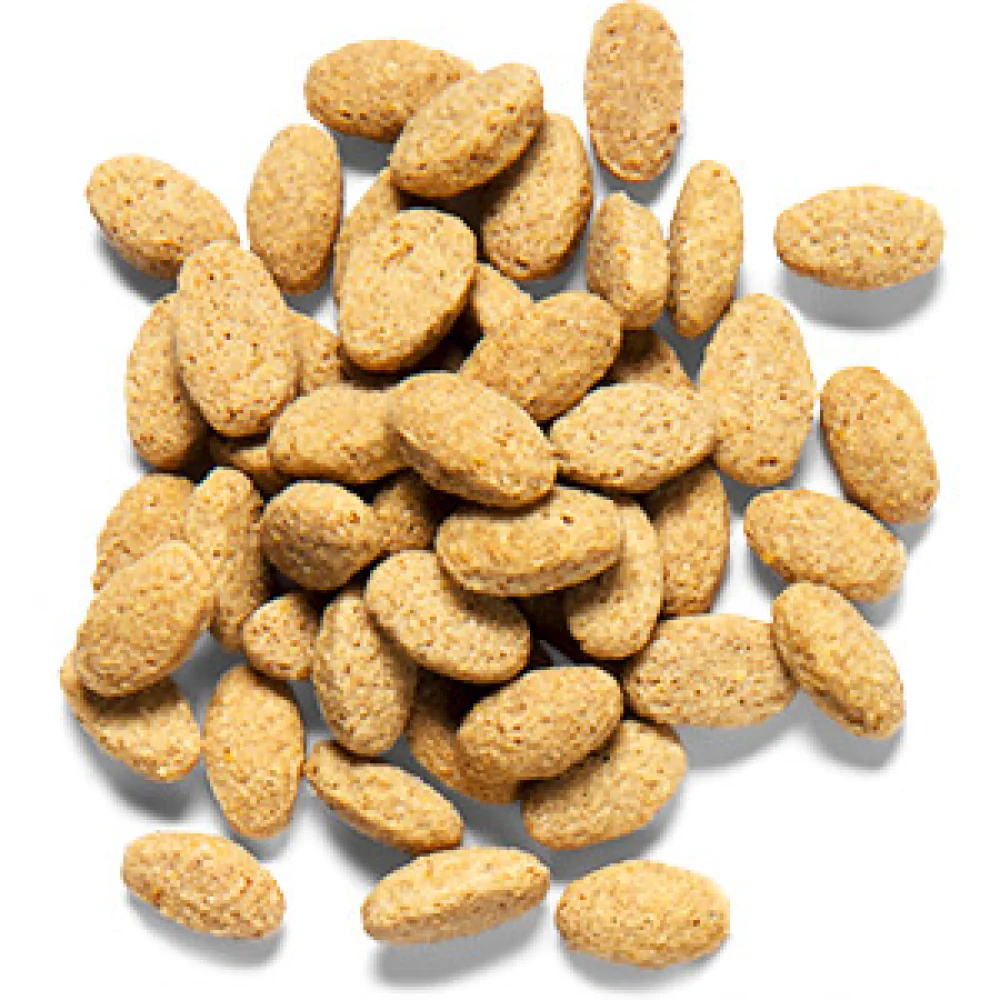 ZuPreem Natural Avian Pellet Diet Medium & Large Bird Food - Image 3